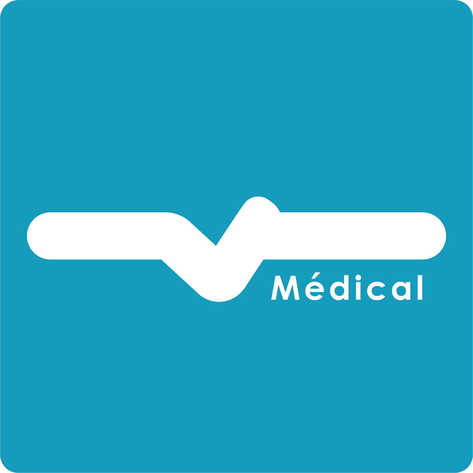 Visa Medical