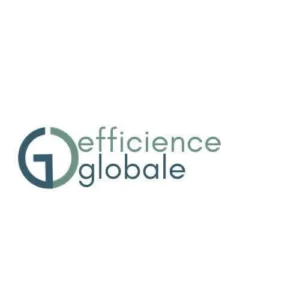 Efficience Globale 