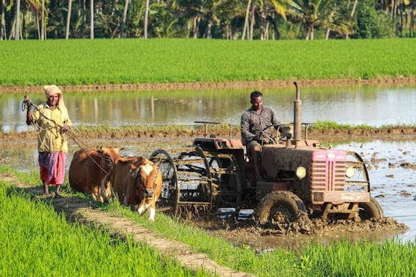 Agro-Industries